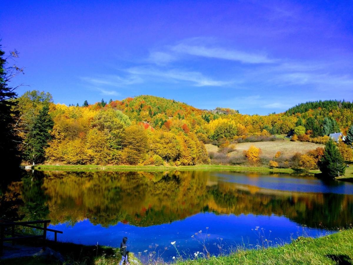 Cottage Refresh Banská Štiavnica Dış mekan fotoğraf